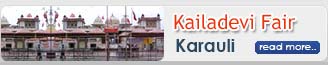 Kailadevi Fair Karauli