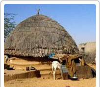 Katariasar Village Bikaner