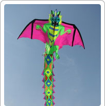 Kite Festival Jodhpur