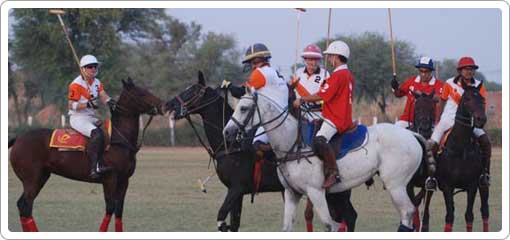 Polo in Rajasthan