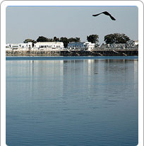Rajsamand Lake Udaipur
