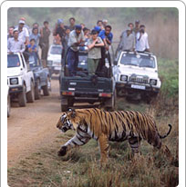 Ranthambore National Park