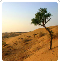 Rajasthan Climate