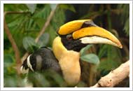 Bharatpur