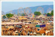 Pushkar