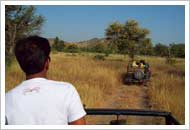 Ranthambore